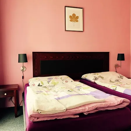 Grand Hotel 3*